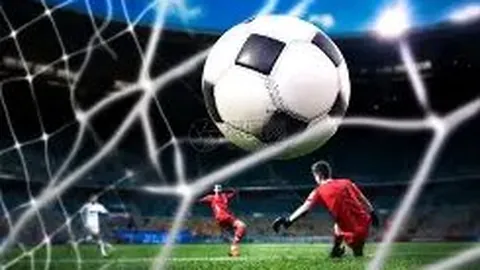 樊振东4-1击败波尔挺进男乒世界杯四强，张本智和将挑战马龙